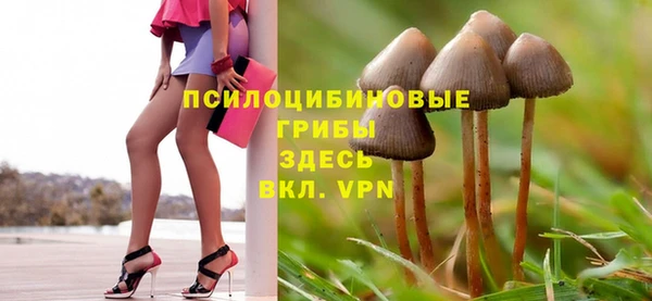 apvp Лихославль
