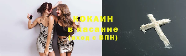 гашик Липки