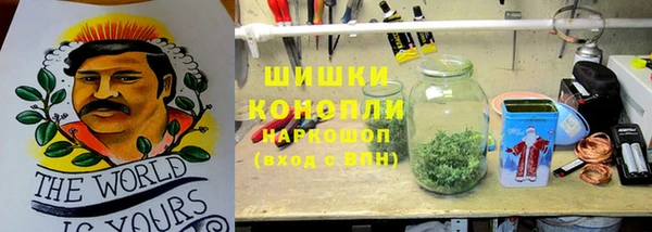 спиды Лиски
